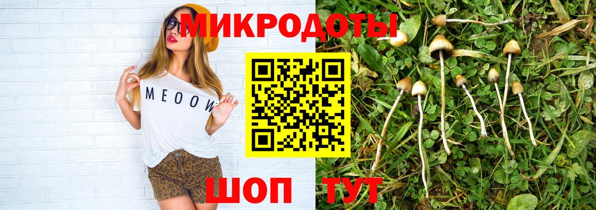 Псилоцибиновые грибы GOLDEN TEACHER Владимир